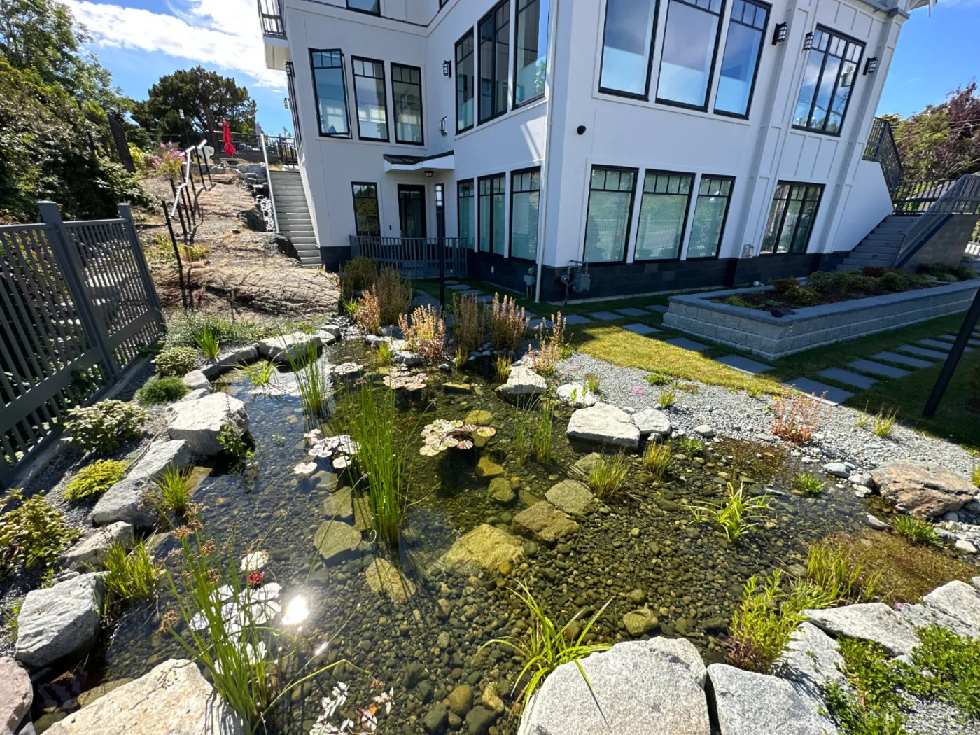 A large ecosystem pond and stream set into the garden of a contemporary home in Greater Victoria.