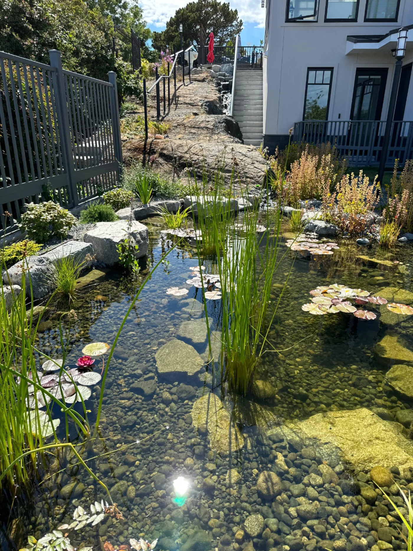 A completed EcoSystem Ponds project by Oxbow Aquatic Services in Greater Victoria.