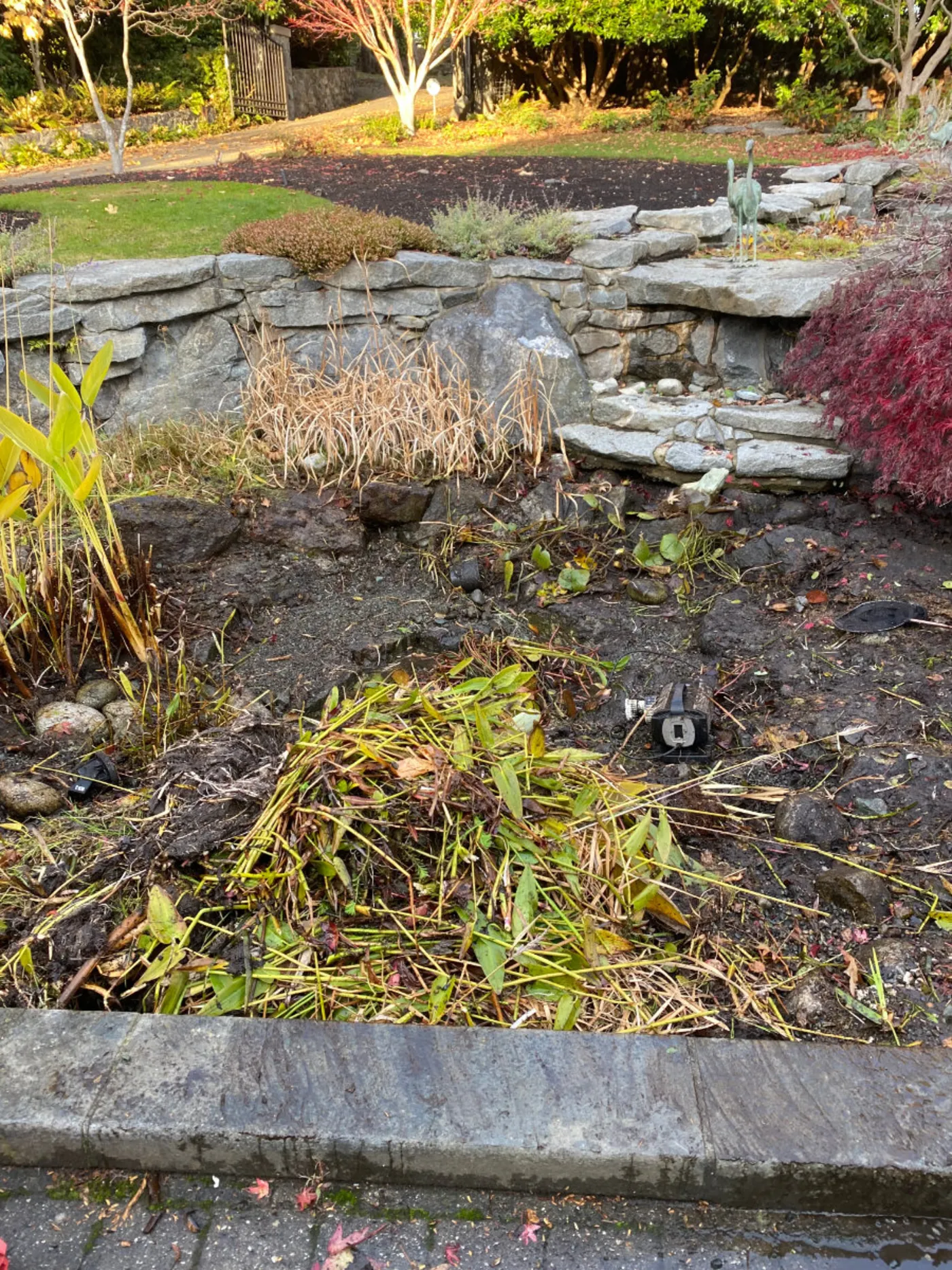 A completed Pond Maintenance project by Oxbow Aquatic Services in Greater Victoria.