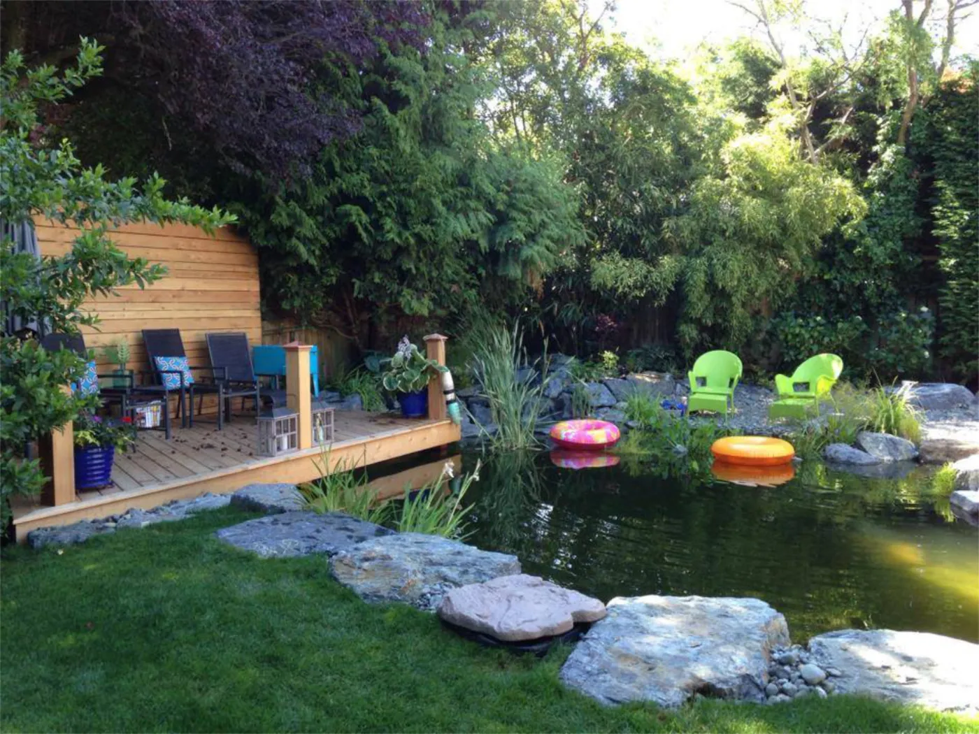 A natural swim pond built into a Vancouver Island garden, clear water with a planted regeneration zone at one end.