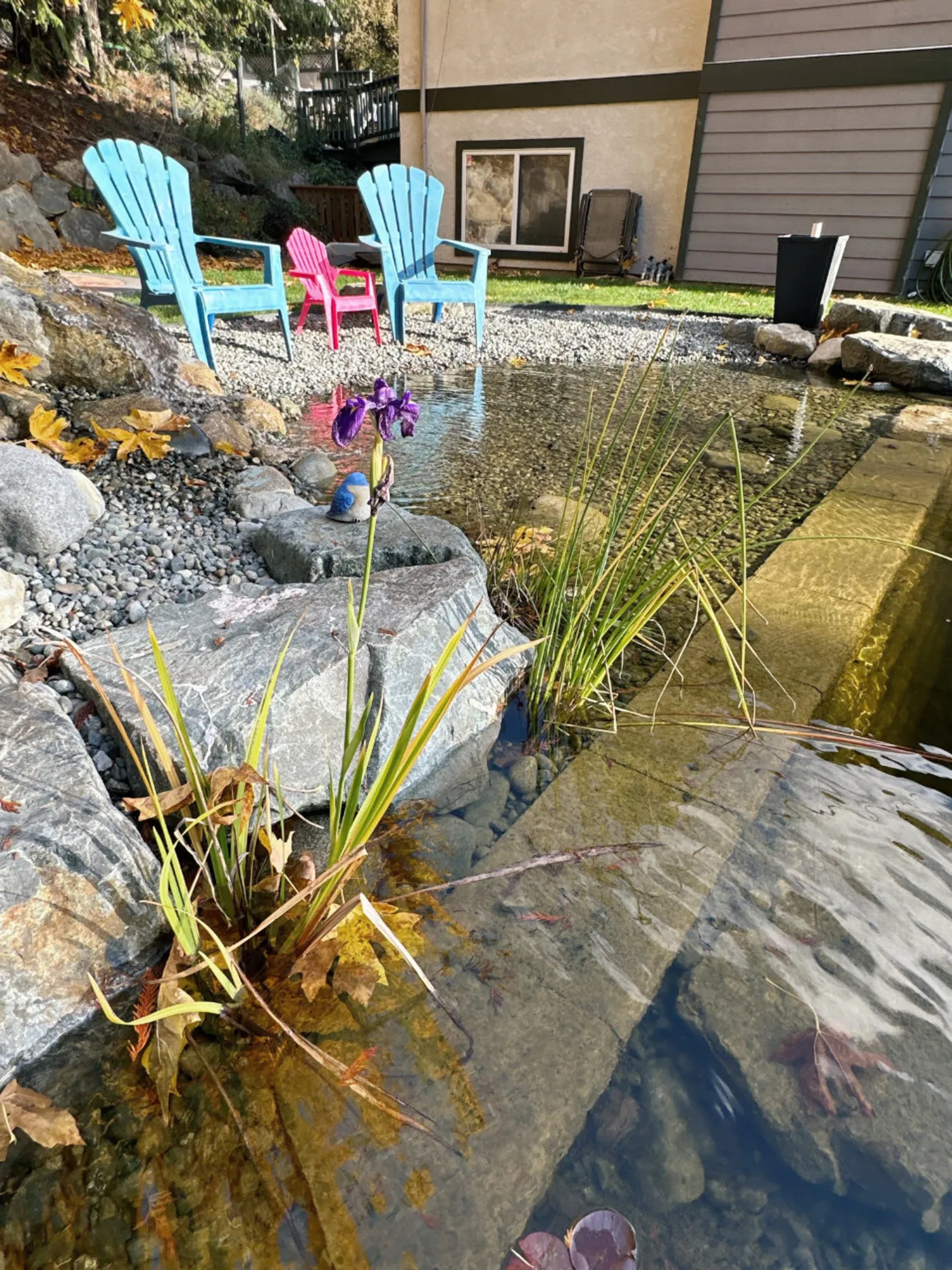 A completed Swim & Recreational Ponds project by Oxbow Aquatic Services in Greater Victoria.