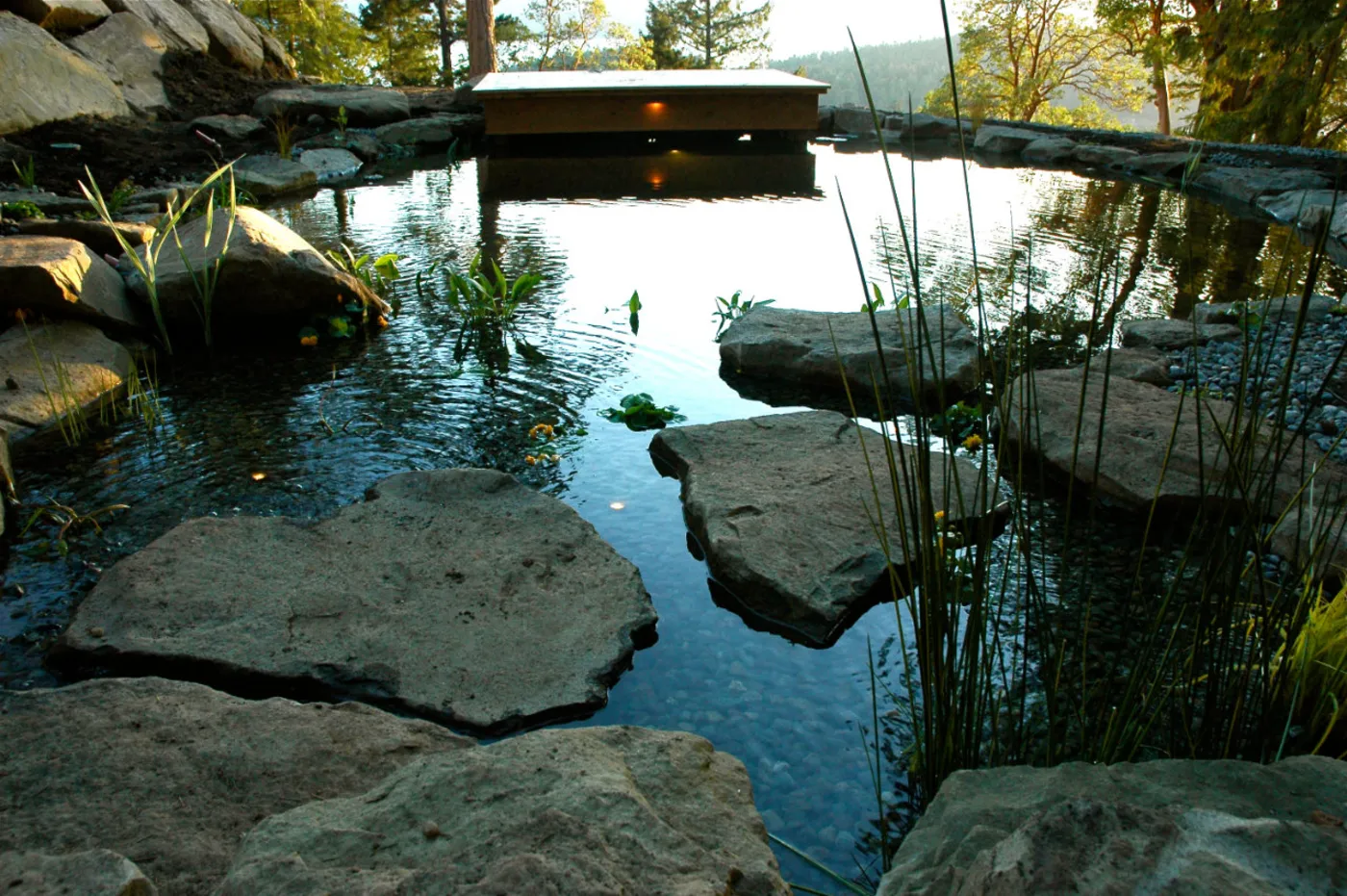 Stepping stones across clear water in a natural swim pond built by Oxbow.